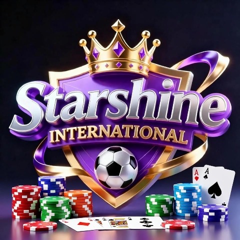 星耀国际 500➕288